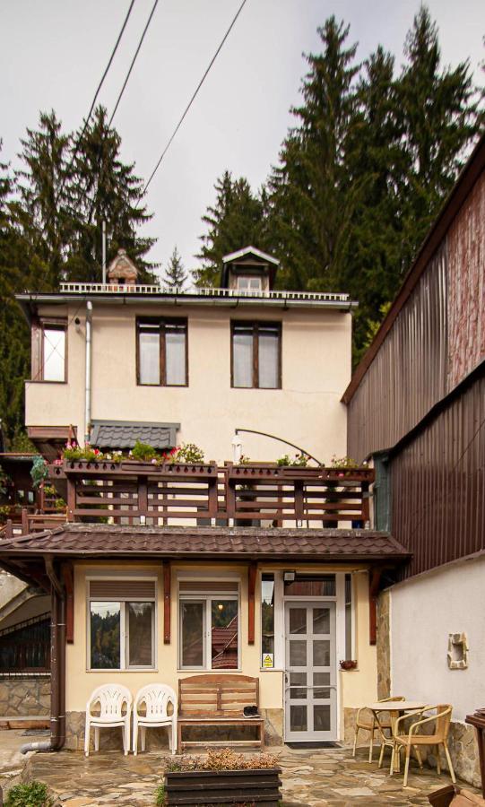 Casa Sara Apartment Sinaia Exterior photo